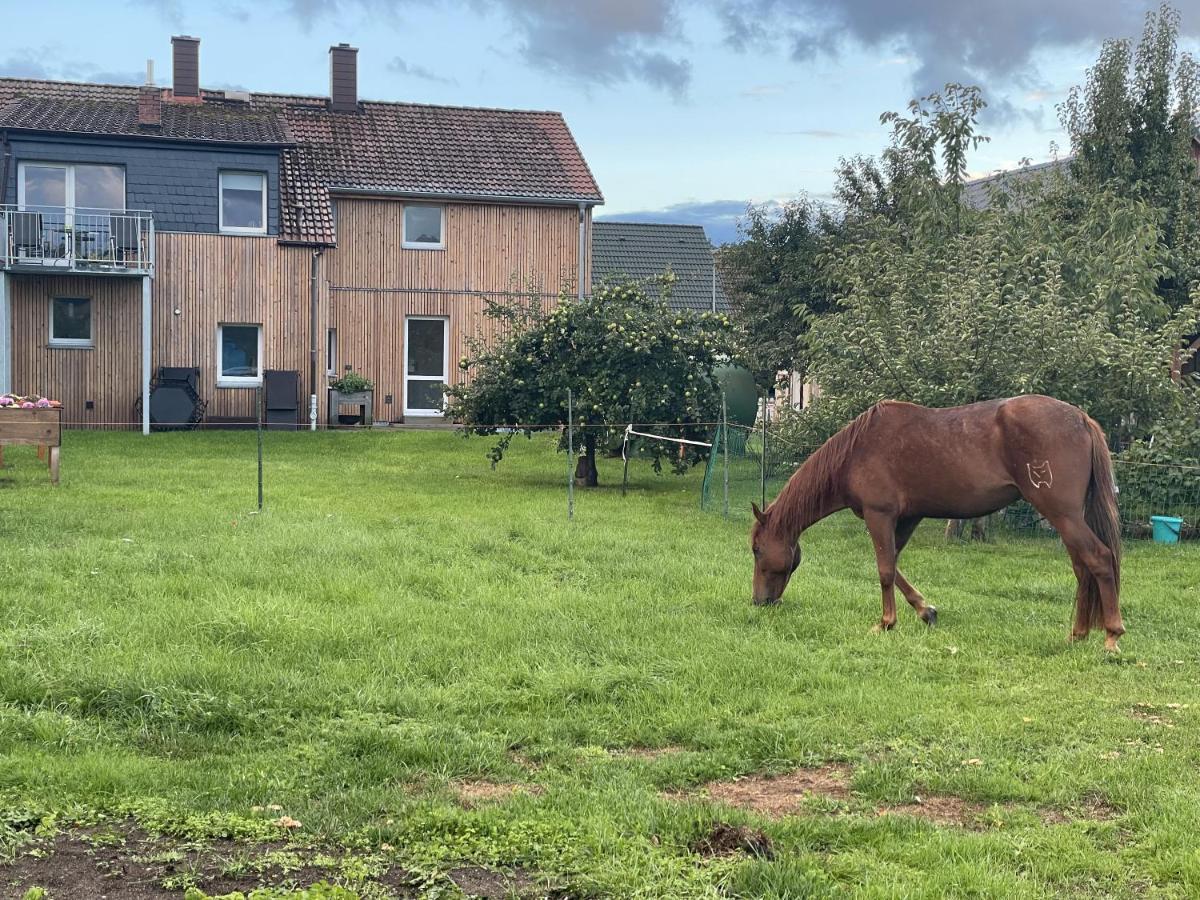 Urlaub Auf Dem Land Apartment Triepkendorf Luaran gambar